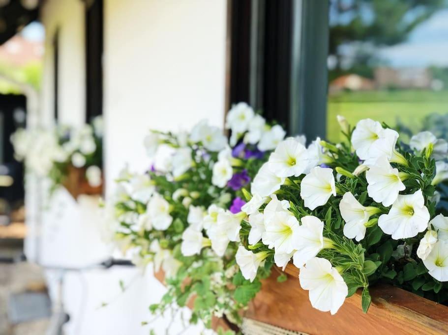 Gaestehaus Im Garten Zeitlofs ภายนอก รูปภาพ