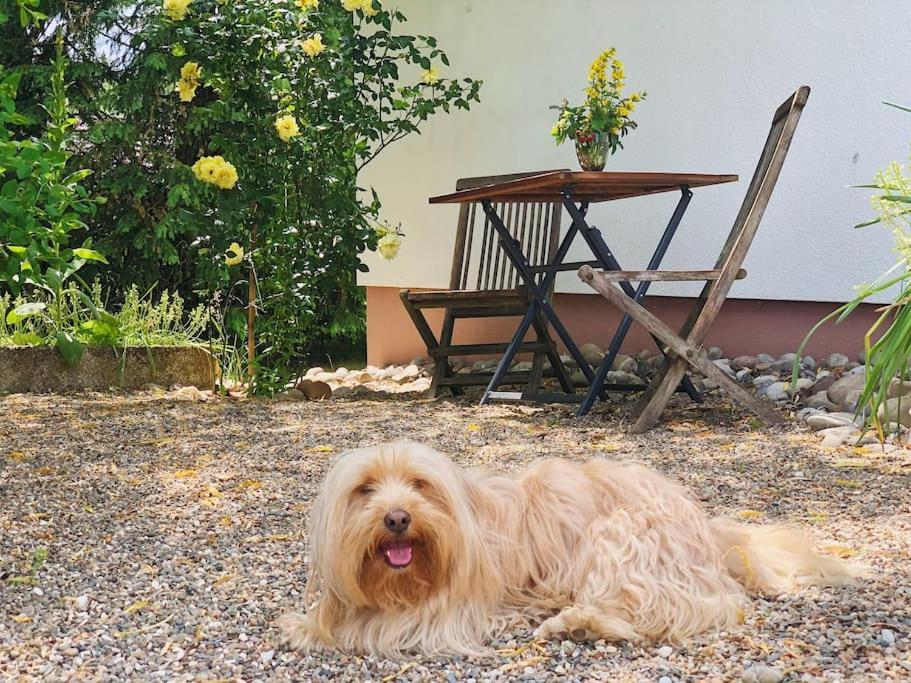Gaestehaus Im Garten Zeitlofs ภายนอก รูปภาพ